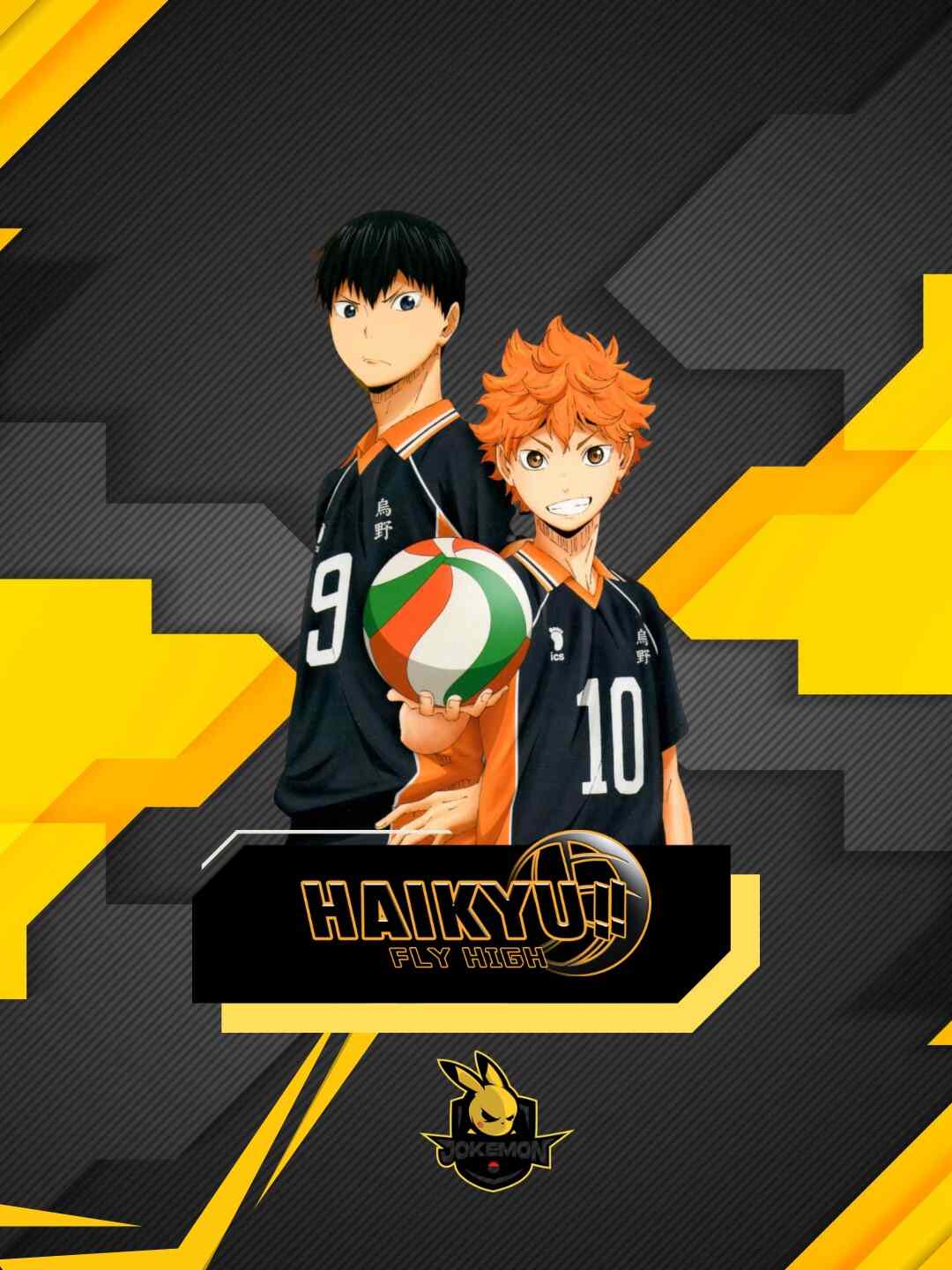 Haikyu Fly High
